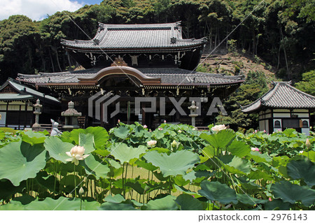 nave, main temple building, mimurato-ji temple 2976143