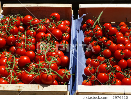 French mini tomatoes 2976210