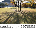 秋天中央公園在秋天 2976358