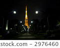 從東京鐵塔Shibakoen溫泉門邊的夜景 2976460