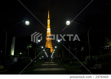 從東京鐵塔Shibakoen溫泉門邊的夜景 2976460