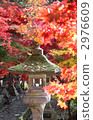 Kiyomizudera秋葉在長野市 2976609