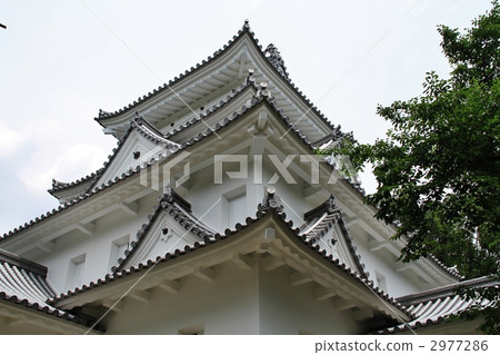 大垣城堡 2977286