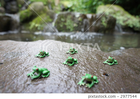 Frog at the waterside 2977544