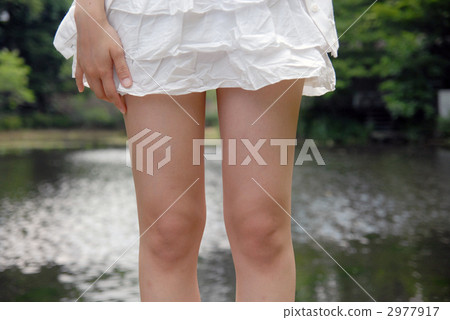 腳 英尺 爪子 2977917