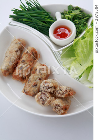 Vietnam fried spring roll curtain 2978384