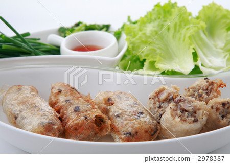 越南油炸春捲簾 越南油炸春捲簾 2978387