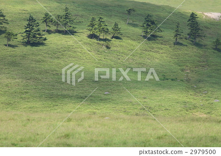Mikahara Plateau 2979500
