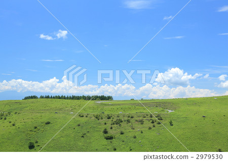 Kirigamine高原 2979530