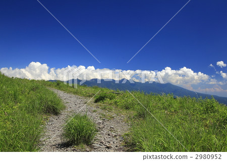山路 山丘 景點 2980952