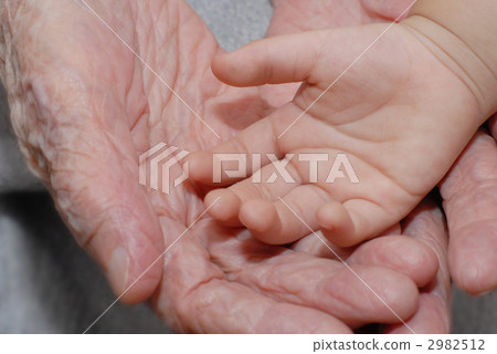 80, eighty, granddaughter 2982512