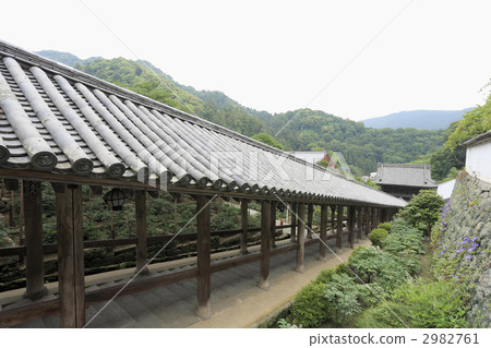Hase-dera _ evangelism 2982761