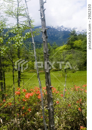 Tashiro Mogara Tashiro Mogara 2982830