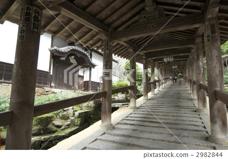 Nara _ Hasedera Temple 2982844