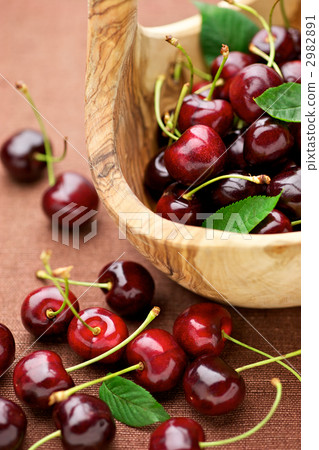 American Cherry 2982891