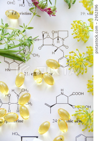 Supplement Supplement 2982896