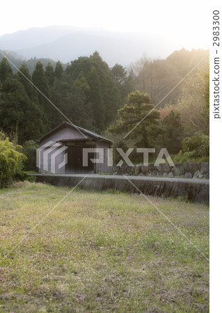 山 在山里 森林 2983300