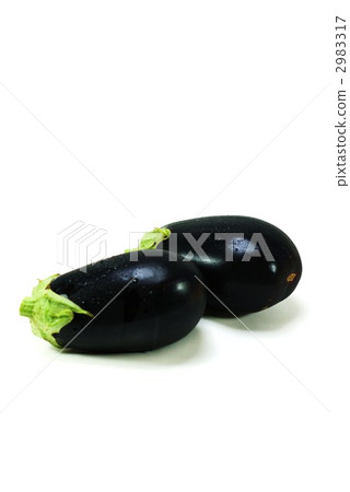 Binus 2 pcs white返回垂直位置 2983317