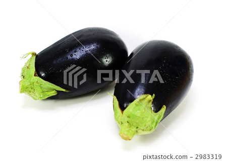 Binus 2個白色背景橫向位置 Binus 2個白色背景橫向位置 2983319