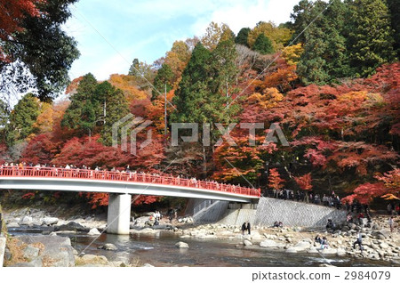 秋天香火Karami河 2984079