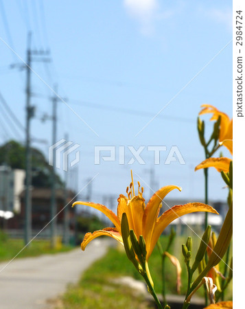 Nokanzou Nokanzou 2984724