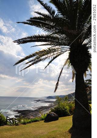 Horikiri Pass on the Nichinan Coast 2985052