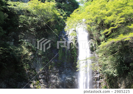 Waterfall of Minoo 2985225