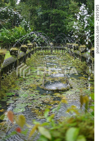 Paronella公園噴泉 2985905