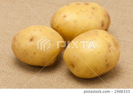 馬鈴薯上的馬鈴薯 2986333