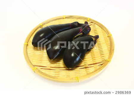 茄子 2986369