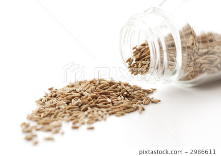 Cumin (spice) 2986611