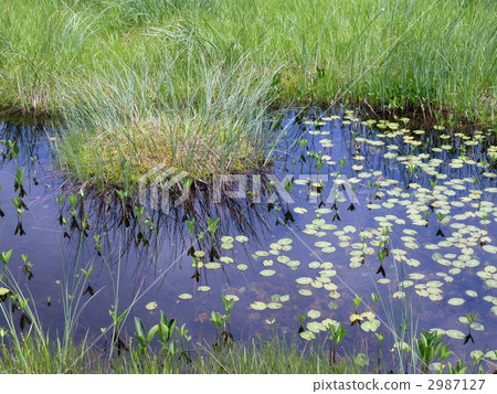 Oze National Park Ozegahara's ital Town 2987127