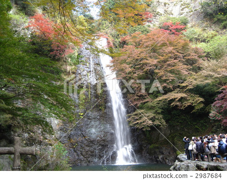 美濃瀑布 2987684