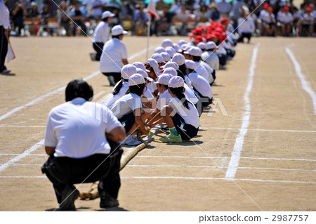 Tug of war 2987757