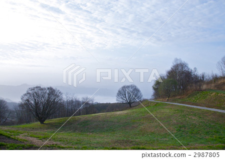 Maple and azuki bean of the Omine Plateau Maple and azuki bean of the Omine Plateau 2987805
