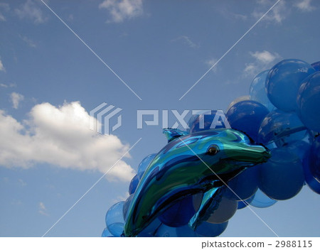 海豚 氣球 汽球 2988115