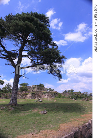 竹田城 天空之城 竹田城跡 2988676