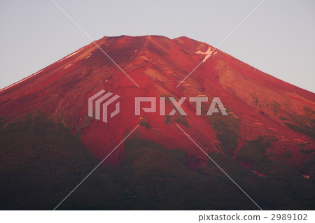 Red Fuji 2989102