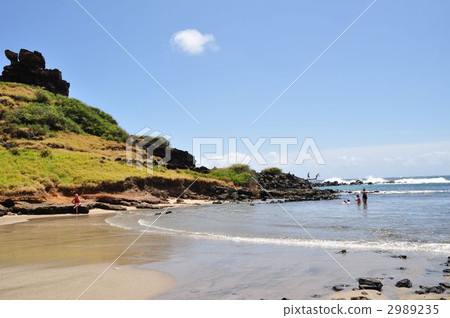 Holidays in Hawaii 2989235