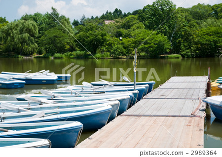 Boat rental for rent 2989364