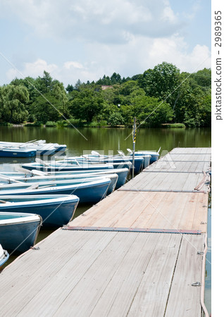 Boat rental for rent 2989365