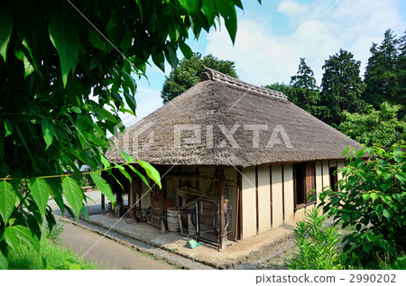 detached house, separate house, straw-thatching 2990202