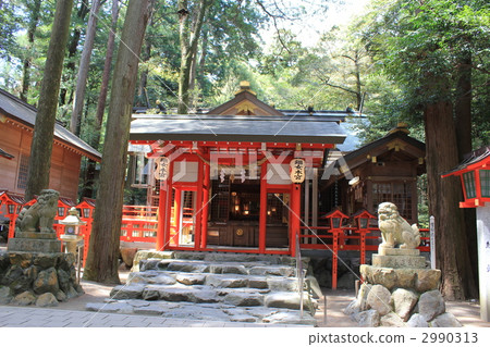 Tsubakiji shrine Tsubakiji shrine 2990313