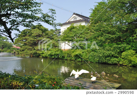 鶴岡步行/鶴岡公園護城河護城河 2990598