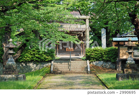 Tsuruoka walk / Tsuruoka Gokoku shrine 2990695