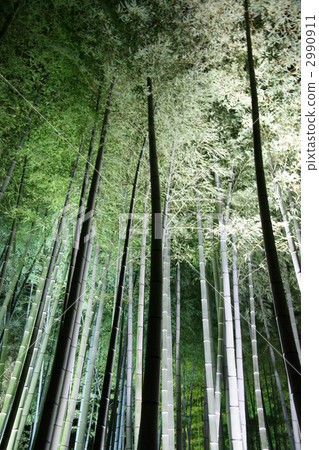 Takebayashi點亮了 2990911