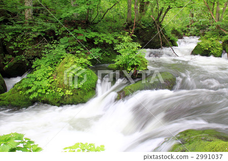 Flow of Oirase and Asura Flow of Oirase and Asura 2991037