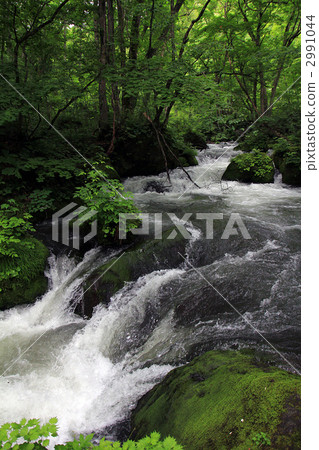 Oirase Asura的流程 2991044