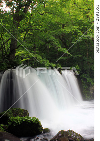 Oirase Stream Choshi Otaki 2991053