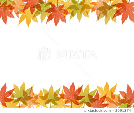 楓樹 紅楓 楓葉 2991274